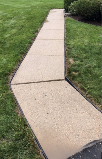 Clean sidewalk after professional softwash cleaning.