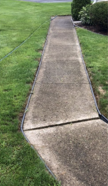 Clean sidewalk after professional softwash cleaning.