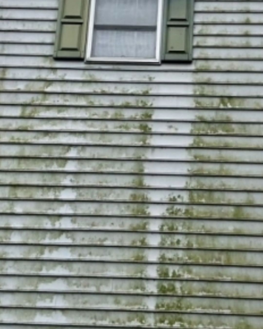 Clean house siding after professional pressure washing.