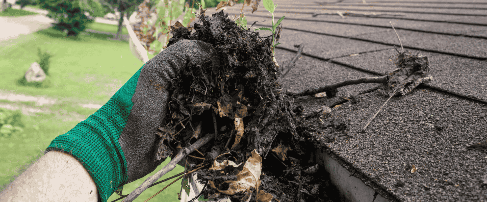 A gloved hand removing debris and leaves from a clogged gutter.