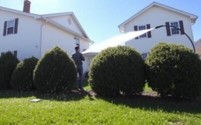 Exterior House Washing Near Me: A Step-by-Step Guide